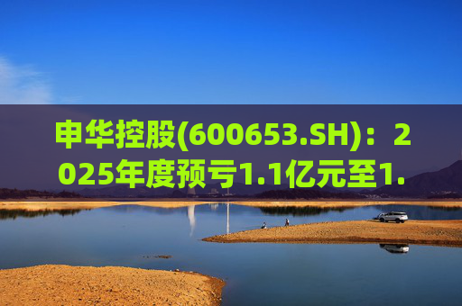 申华控股(600653.SH)：2025年度预亏1.1亿元至1.85亿元  第1张