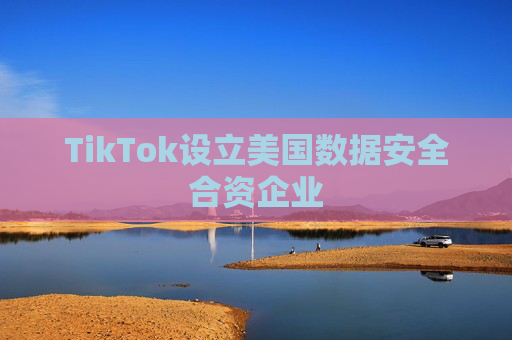 TikTok设立美国数据安全合资企业