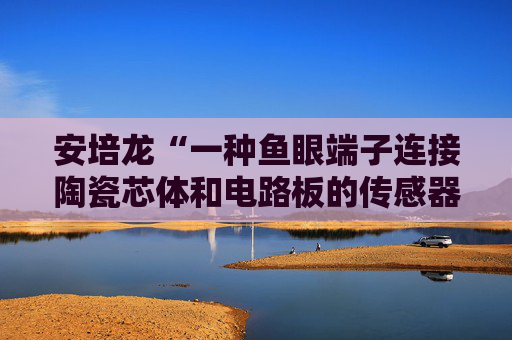 安培龙“一种鱼眼端子连接陶瓷芯体和电路板的传感器及组装方法”专利获授权