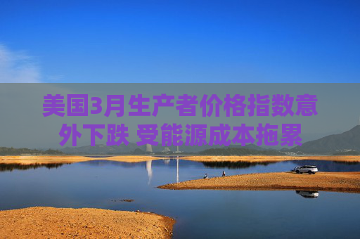 美国3月生产者价格指数意外下跌 受能源成本拖累