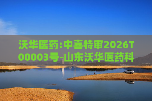沃华医药:中喜特审2026T00003号-山东沃华医药科技股份有限公司-关联资金占用报告