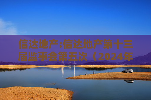 信达地产:信达地产第十三届监事会第五次（2024年度）会议决议公告