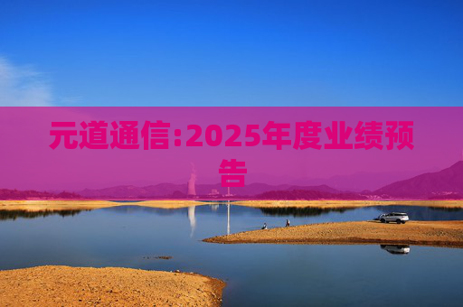 元道通信:2025年度业绩预告