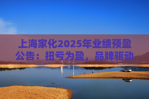 上海家化2025年业绩预盈公告：扭亏为盈，品牌驱动重回增长轨道