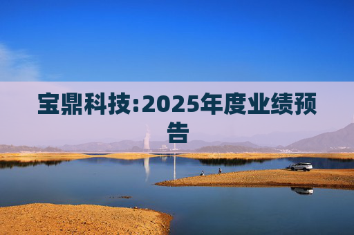 宝鼎科技:2025年度业绩预告