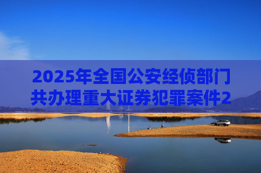 2025年全国公安经侦部门共办理重大证券犯罪案件200余起