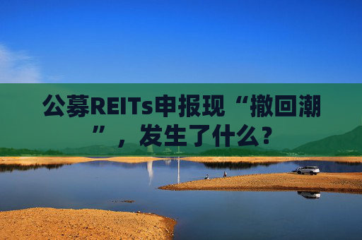 公募REITs申报现“撤回潮”，发生了什么？