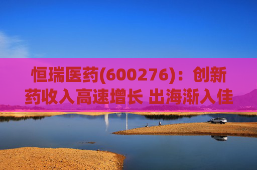 恒瑞医药(600276)：创新药收入高速增长 出海渐入佳境
