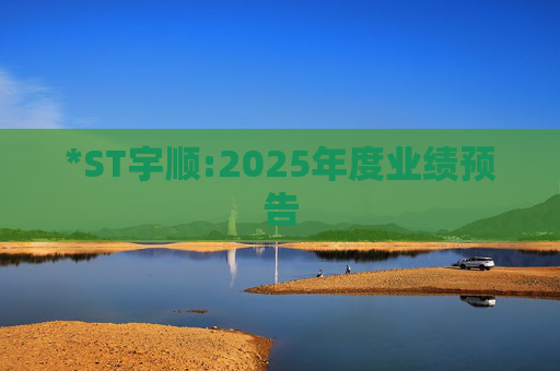 *ST宇顺:2025年度业绩预告