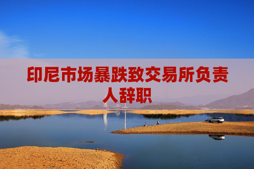 印尼市场暴跌致交易所负责人辞职