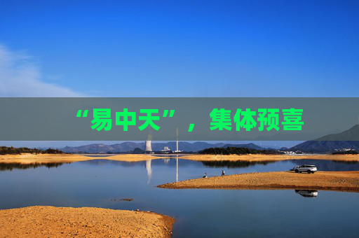 “易中天”，集体预喜