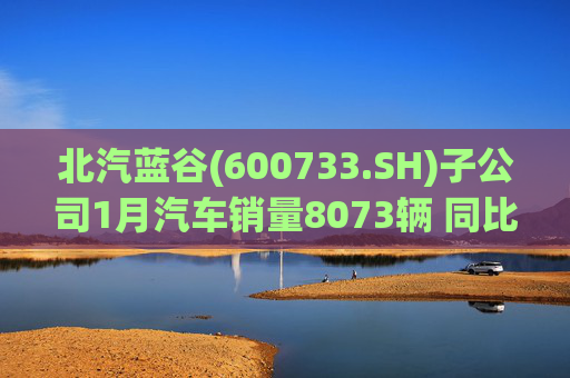 北汽蓝谷(600733.SH)子公司1月汽车销量8073辆 同比增长11.83%