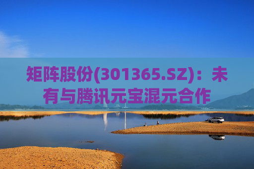 矩阵股份(301365.SZ)：未有与腾讯元宝混元合作