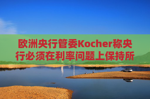 欧洲央行管委Kocher称央行必须在利率问题上保持所有选项开放