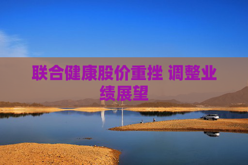 联合健康股价重挫 调整业绩展望