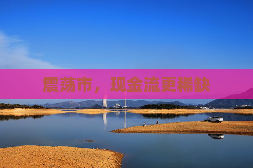 震荡市，现金流更稀缺