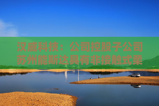 汉威科技：公司控股子公司苏州能斯达具有非接触式柔性微纳传感器的研发和生产能力