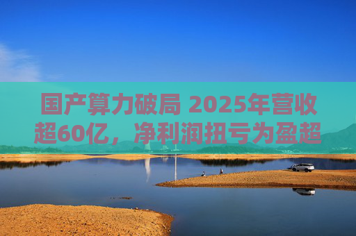 国产算力破局 2025年营收超60亿，净利润扭亏为盈超18亿