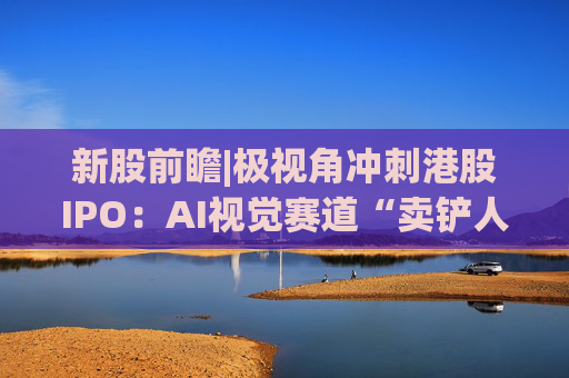 新股前瞻|极视角冲刺港股IPO：AI视觉赛道“卖铲人”潜力可期，盈利波动困境难解