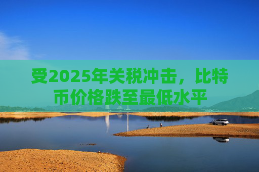 受2025年关税冲击，比特币价格跌至最低水平