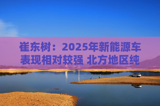 崔东树：2025年新能源车表现相对较强 北方地区纯电动占比提升明显