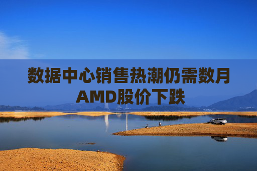 数据中心销售热潮仍需数月 AMD股价下跌