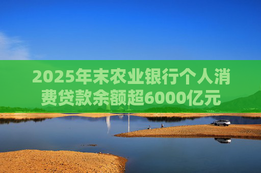 2025年末农业银行个人消费贷款余额超6000亿元