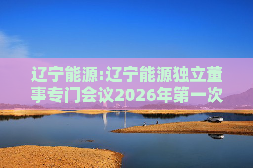 辽宁能源:辽宁能源独立董事专门会议2026年第一次会议决议