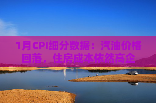 1月CPI细分数据：汽油价格回落，住房成本依然高企