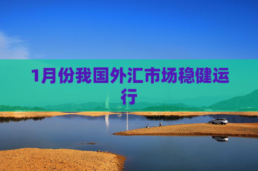 1月份我国外汇市场稳健运行
