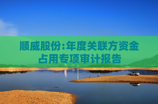 顺威股份:年度关联方资金占用专项审计报告