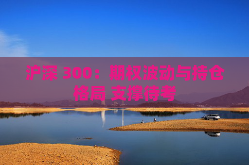 沪深 300：期权波动与持仓格局 支撑待考