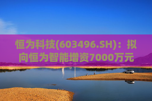 恒为科技(603496.SH)：拟向恒为智能增资7000万元