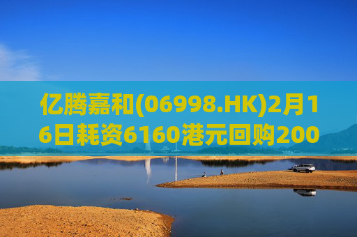 亿腾嘉和(06998.HK)2月16日耗资6160港元回购2000股