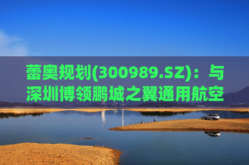 蕾奥规划(300989.SZ)：与深圳博领鹏城之翼通用航空有限公司签署了战略合作协议