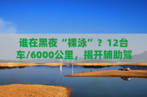 谁在黑夜“裸泳”？12台车/6000公里，揭开辅助驾驶的夜盲真相  第1张