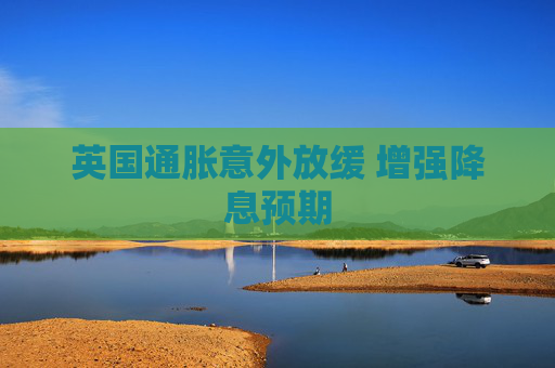 英国通胀意外放缓 增强降息预期  第1张