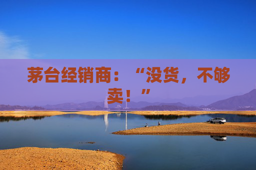 茅台经销商：“没货，不够卖！”