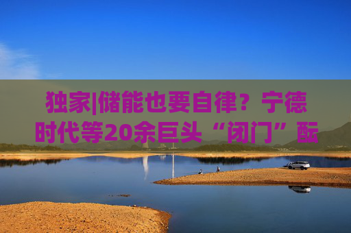 独家|储能也要自律？宁德时代等20余巨头“闭门”酝酿倡议