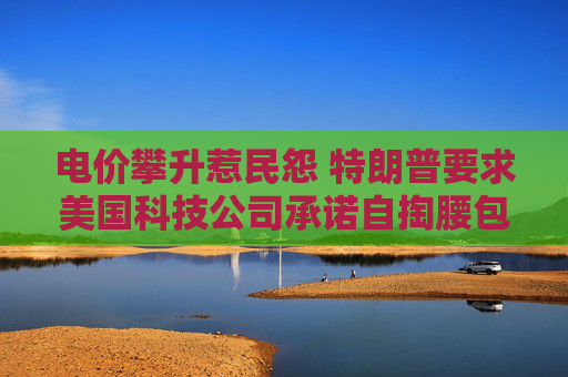 电价攀升惹民怨 特朗普要求美国科技公司承诺自掏腰包建设AI数据中心