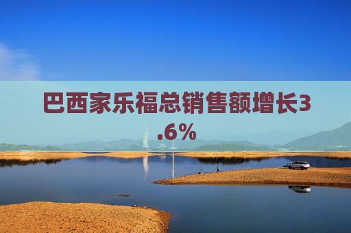 巴西家乐福总销售额增长3.6%  第1张