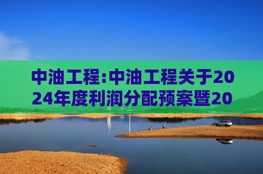 中油工程:中油工程关于2024年度利润分配预案暨2025年中期现金分红有关事项授权的公告
