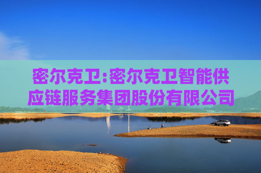 密尔克卫:密尔克卫智能供应链服务集团股份有限公司对外投资与资产处置管理制度（2025年4月）
