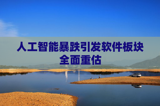 人工智能暴跌引发软件板块全面重估