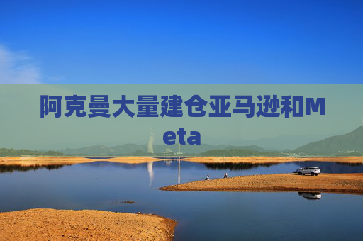 阿克曼大量建仓亚马逊和Meta