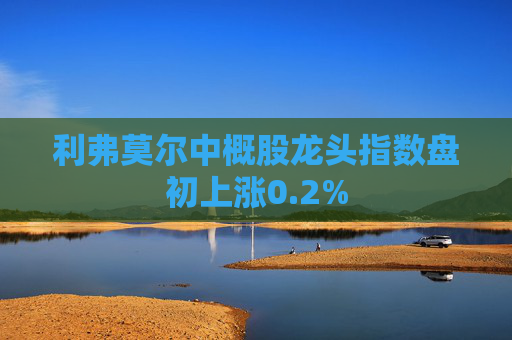 利弗莫尔中概股龙头指数盘初上涨0.2%