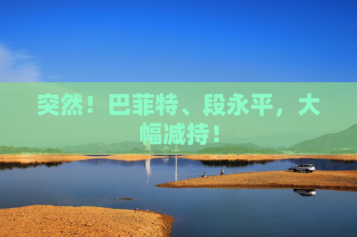 突然！巴菲特、段永平，大幅减持！