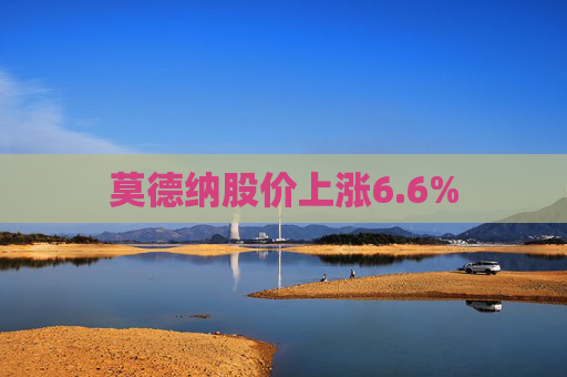 莫德纳股价上涨6.6%