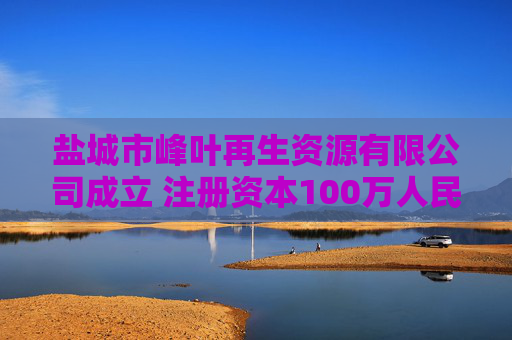 盐城市峰叶再生资源有限公司成立 注册资本100万人民币