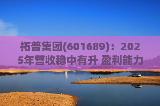 拓普集团(601689)：2025年营收稳中有升 盈利能力短期承压